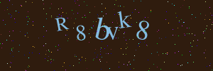 Validation image