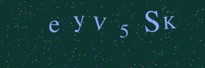 Validation image