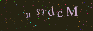 Validation image