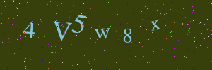Validation image