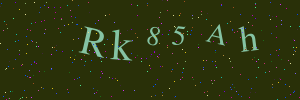 Validation image