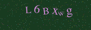 Validation image